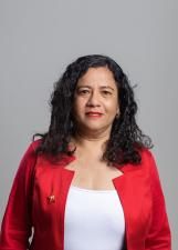 HILVANY ARAUJO PINHEIRO